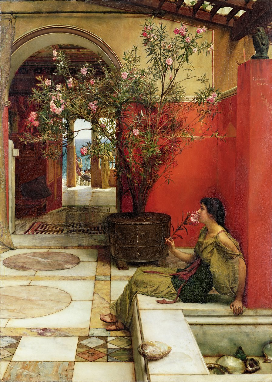 Egy oleander, 1882 alkotó: Lawrence Alma Tadema