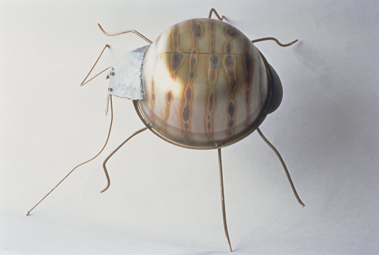 The Ground Beetle, 1995 (fém) alkotó: Lawrie Simonson