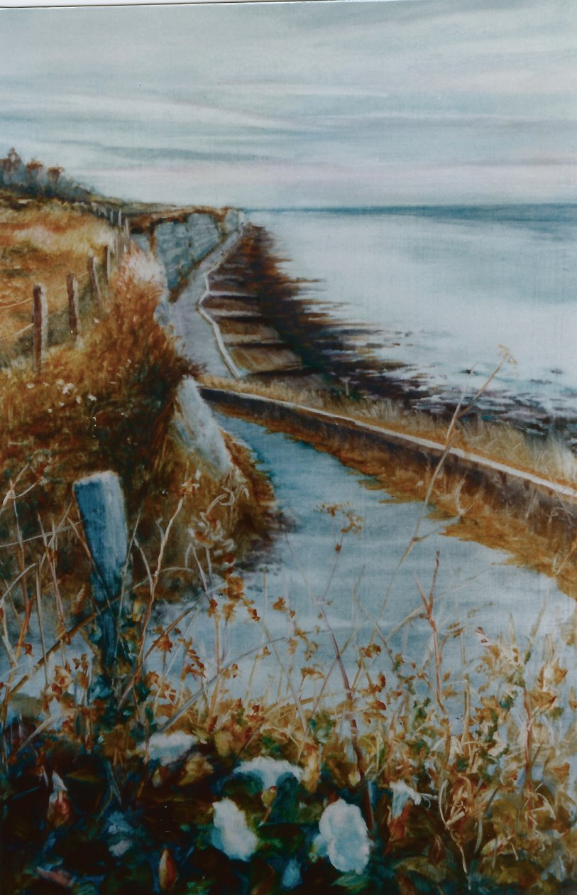 Brighton Morning Glory, 2000 (olaj, papír) alkotó: Lee Campbell