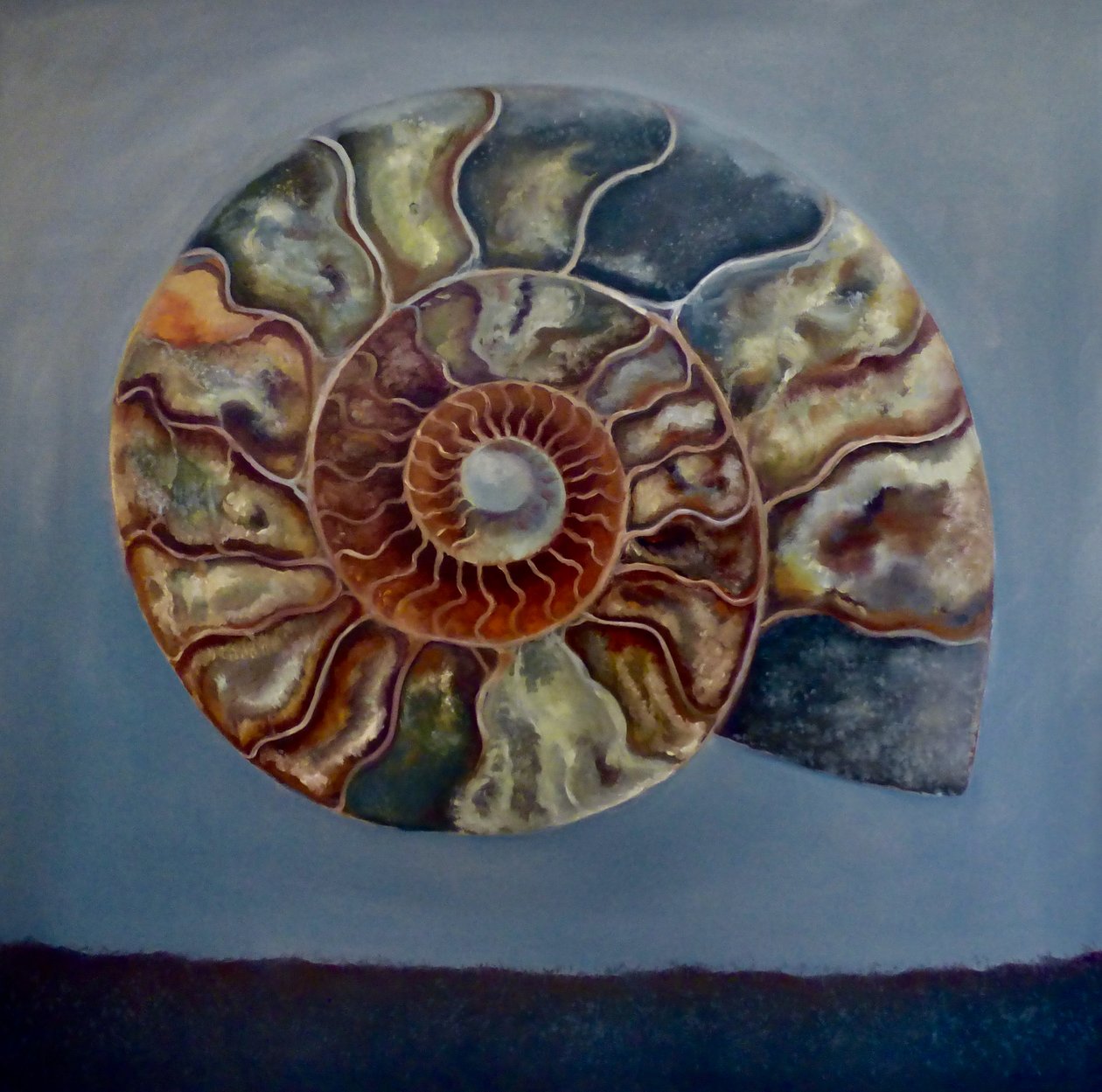 Ammonite, 2020 alkotó: Lee Campbell