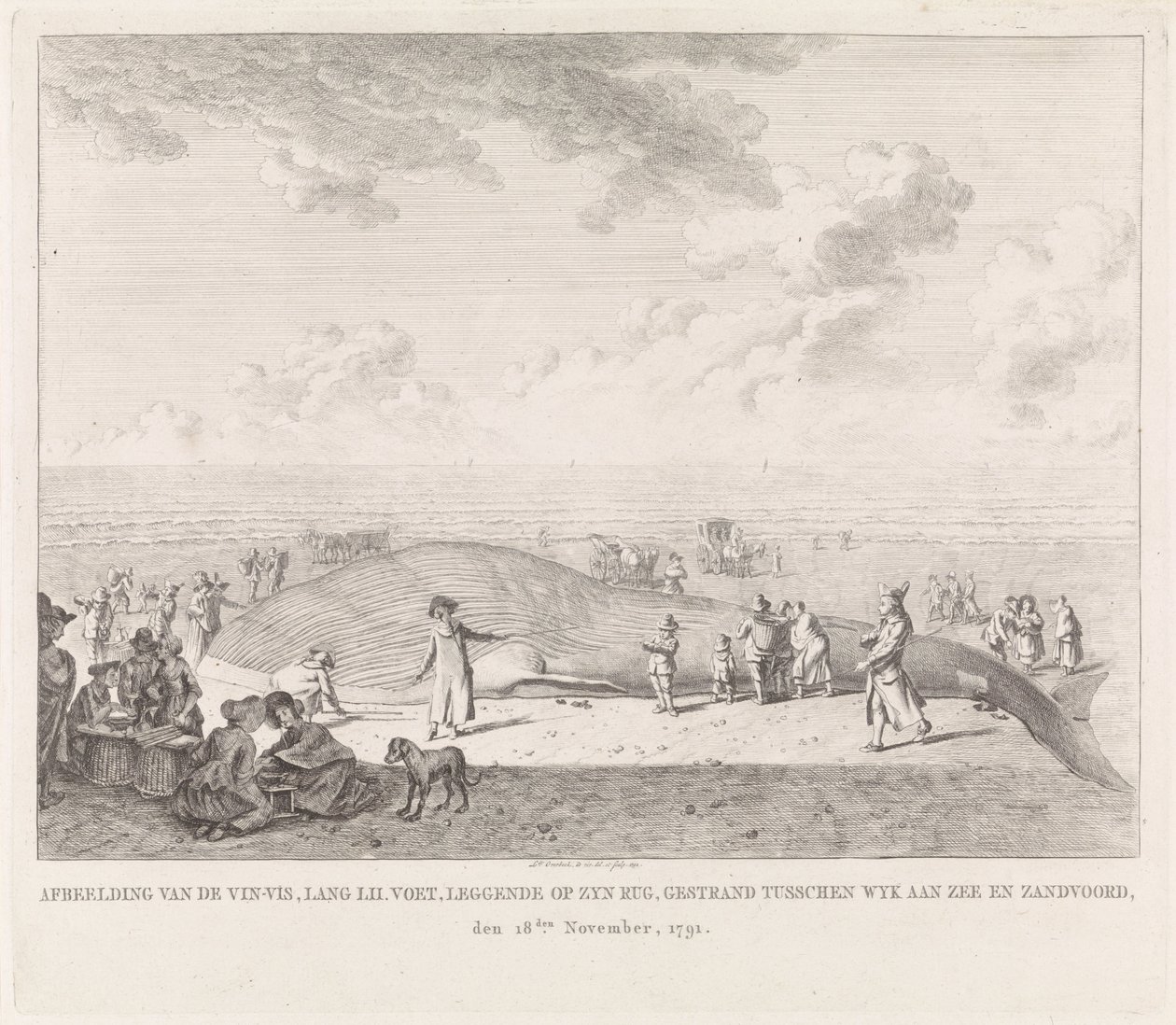 Finom bálna a zandvoorti tengerparton A Wyk aan Zee és Zandvoord között rekedt Vin-Vis (...) képe, 1791. november 18. (cím az objektumon) alkotó: Leendert Overbeek