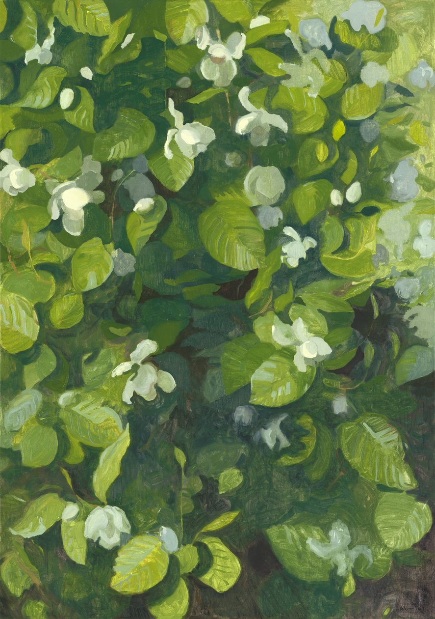 Magnólia virágban, 2014 alkotó: Leigh Glover