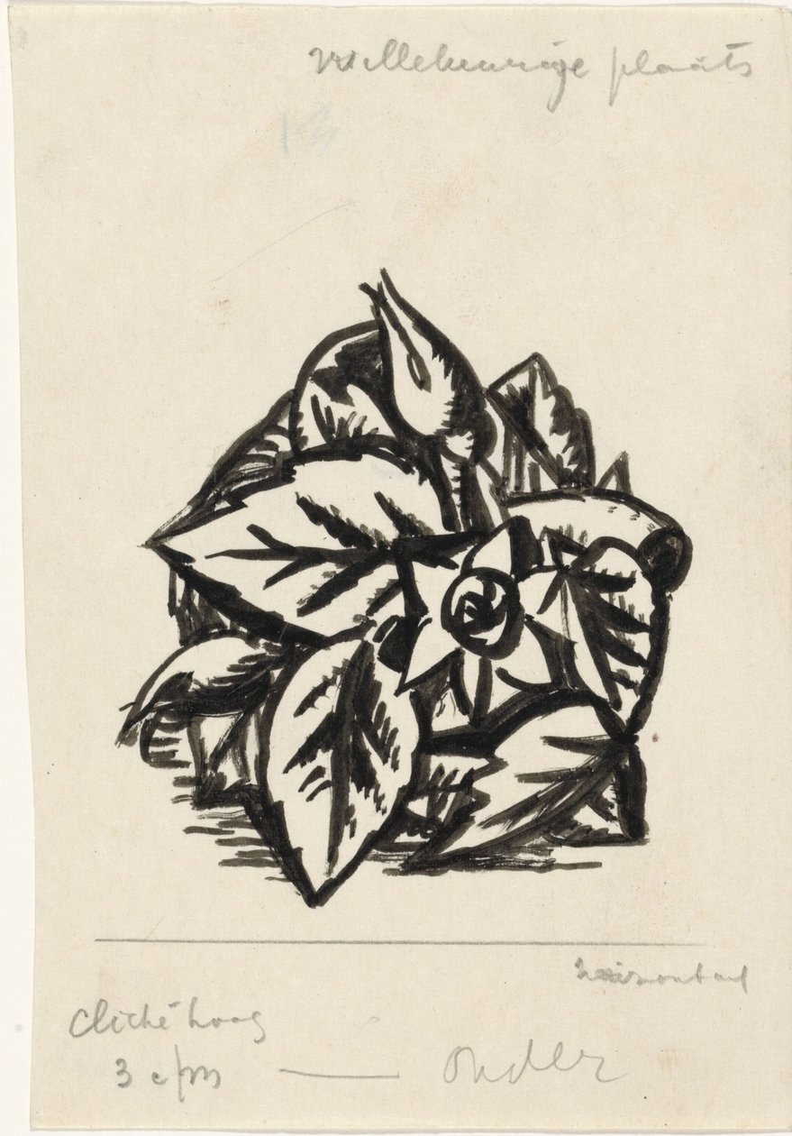 Virágok alkotó: Leo Gestel