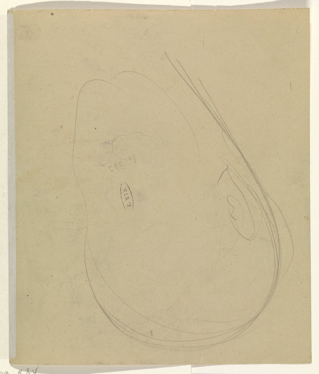 A fej körvonalai alkotó: Leo Gestel