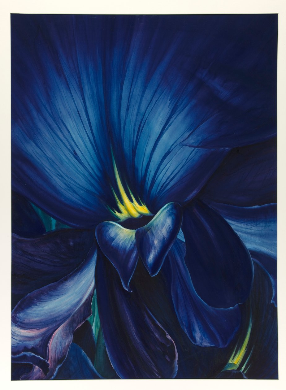 Kínai Delphinium alkotó: Leon Carroll