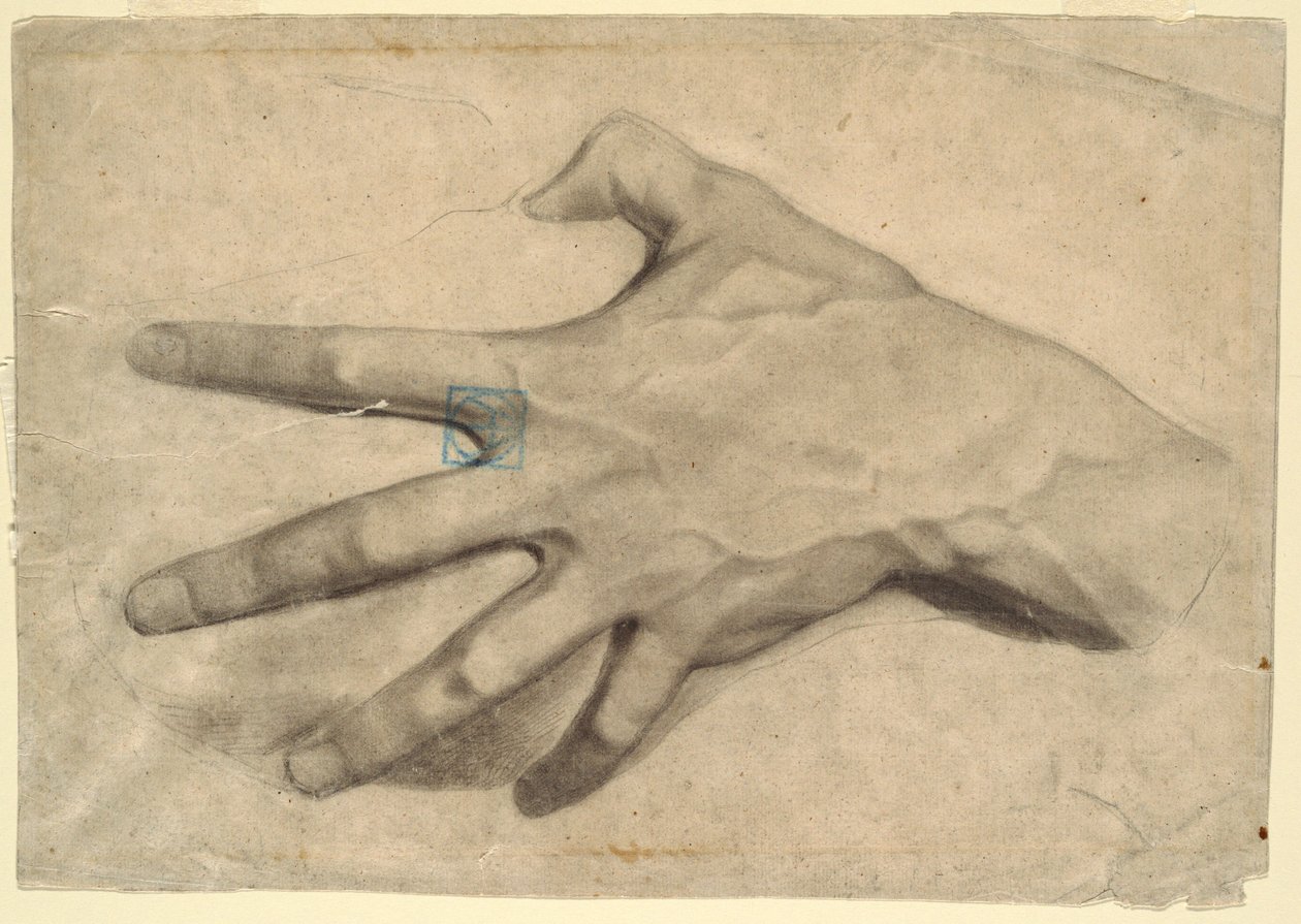 Rajz, Kéz-tanulmány, 1881-92 alkotó: Leon Dabo