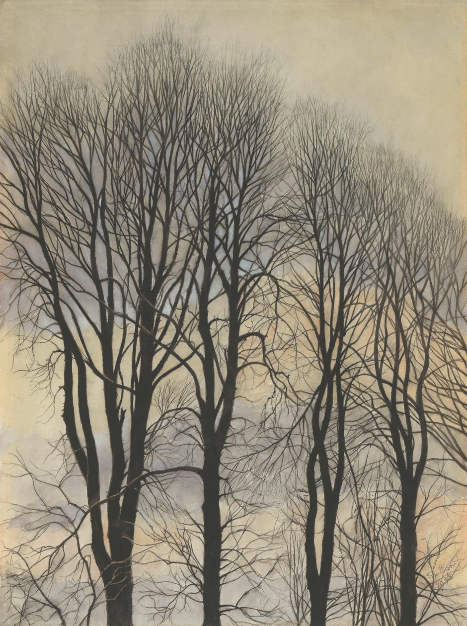 Fa az égen alkotó: Leon Spilliaert