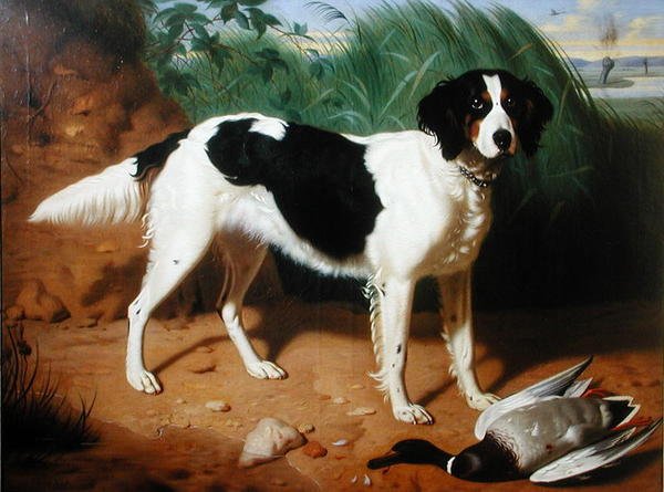 Kutyaportré (olaj, vászon) alkotó: Leon Viardot