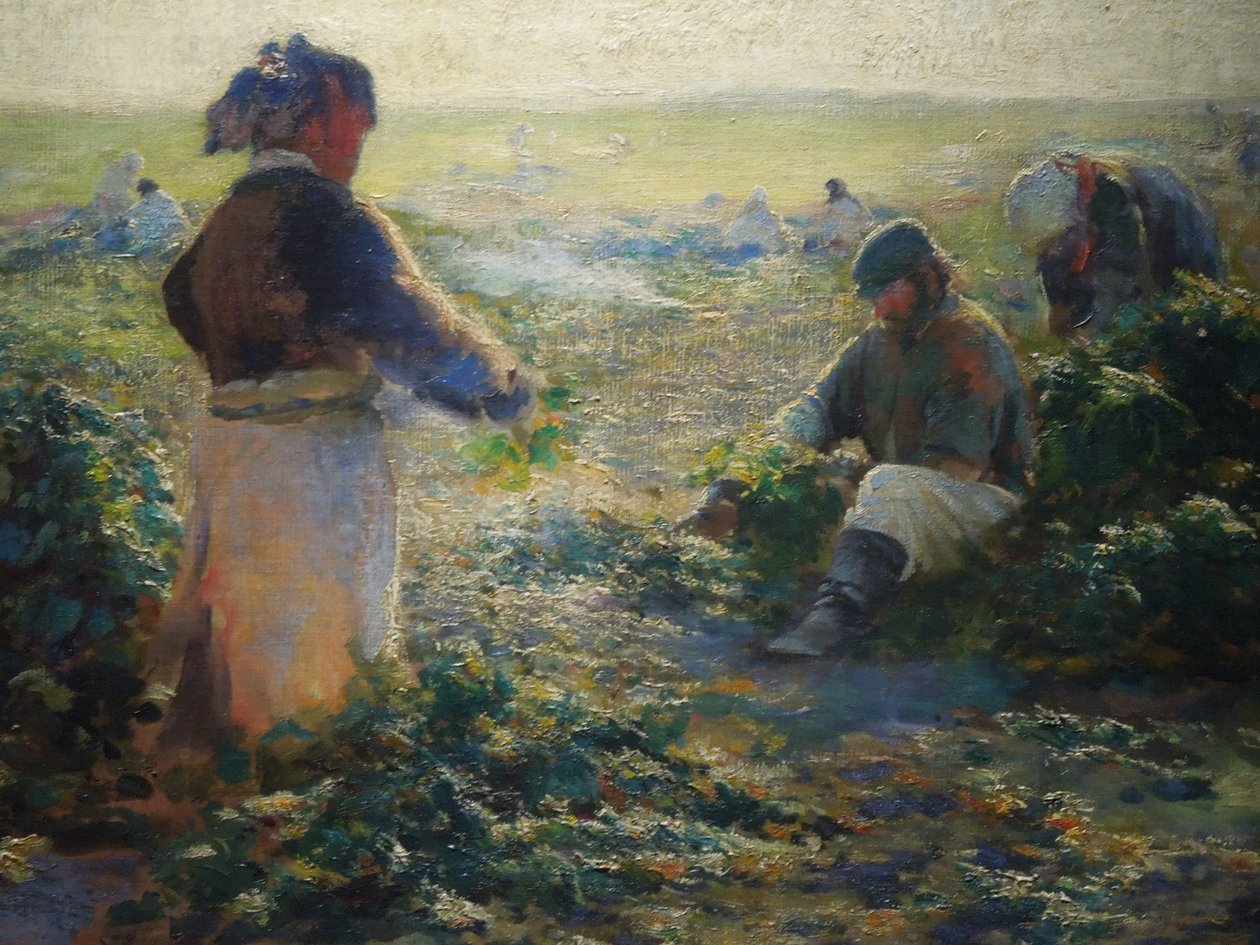 Cékla ásása I alkotó: Leon Wyczółkowski