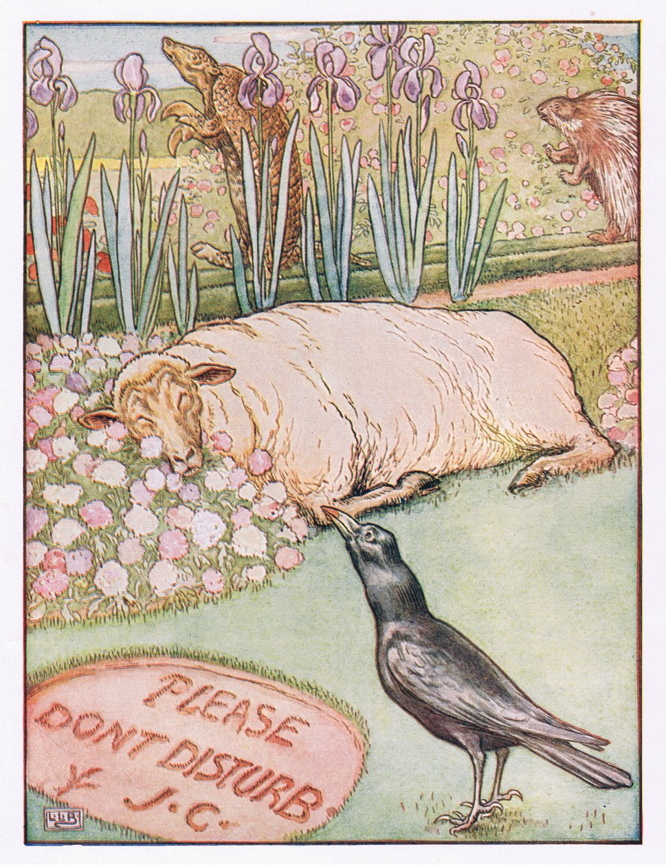 És a birkák elaludtak, illusztráció a "Johnny Crow
