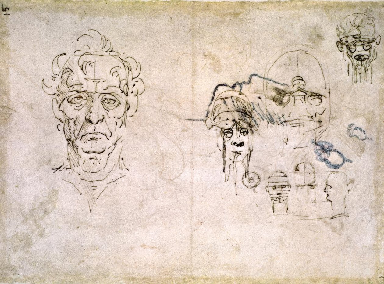 Anatomiestudien alkotó: Leonardo da Vinci
