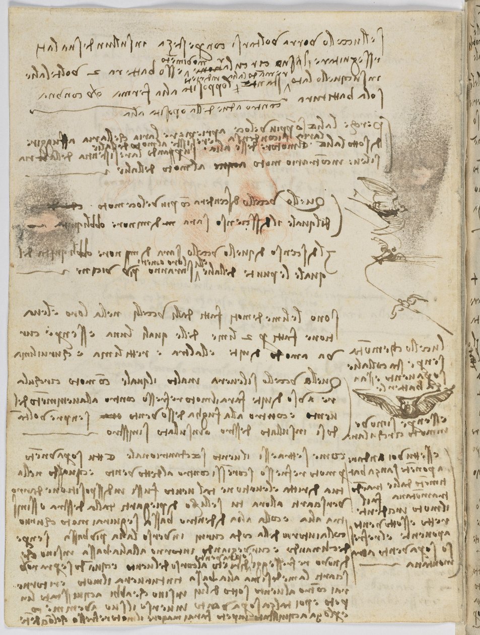 Birds Flight Code, c. 1505-06, papír kézirat, cc. 18, lap 10 verso alkotó: Leonardo da Vinci