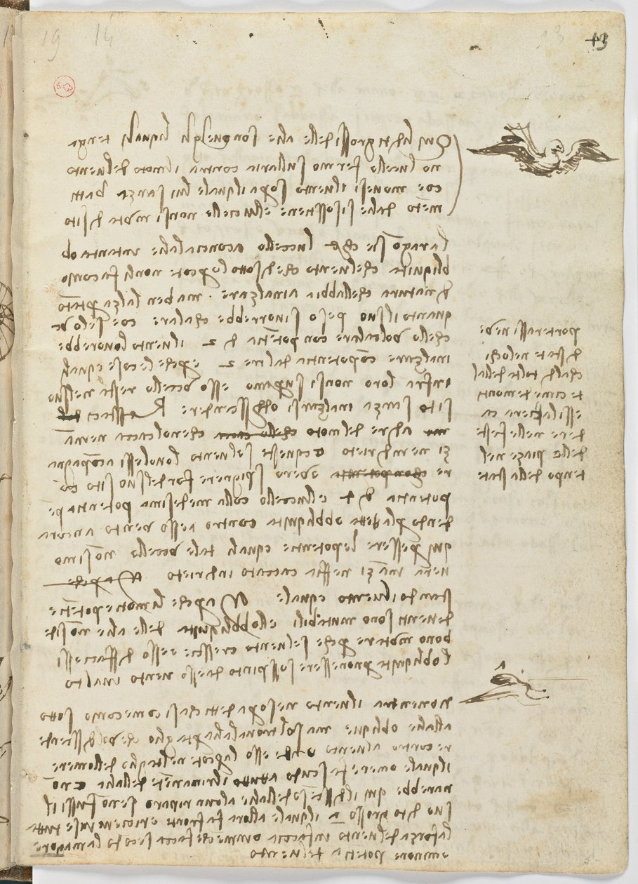 Madarak repülési szabályzata, 1505-06 körül, papír kézirat, cc. 18, 13. lap recto alkotó: Leonardo da Vinci