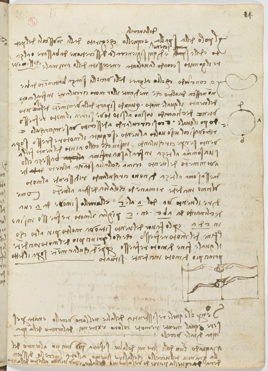 Birds Flight Code, c. 1505-06, papír kézirat, cc. 18, lap 14 recto alkotó: Leonardo da Vinci