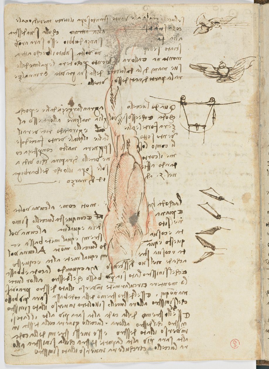 Madarak repülési szabályzata, 1505-06 körül, papír kézirat, cc. 18, 17. lap hátoldal alkotó: Leonardo da Vinci