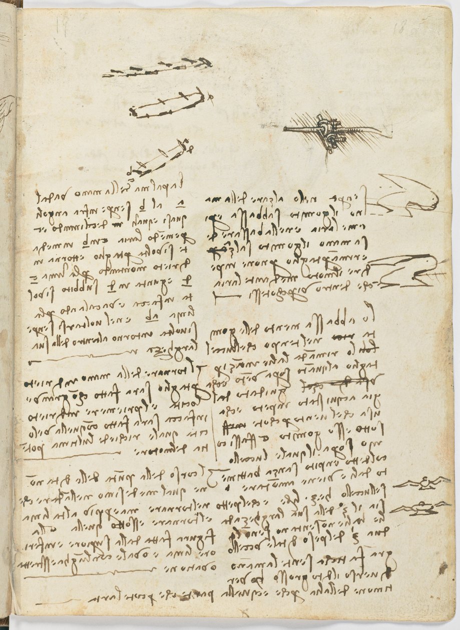 Madarak repülési szabályzata, 1505-06 körül, papír kézirat, cc. 18, 18. lap recto alkotó: Leonardo da Vinci