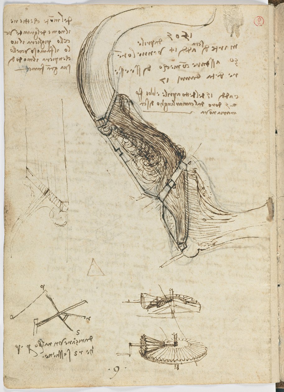 Madarak repülési szabályzata, 1505-06 körül, papír kézirat, cc. 18, 18. lap hátlap alkotó: Leonardo da Vinci