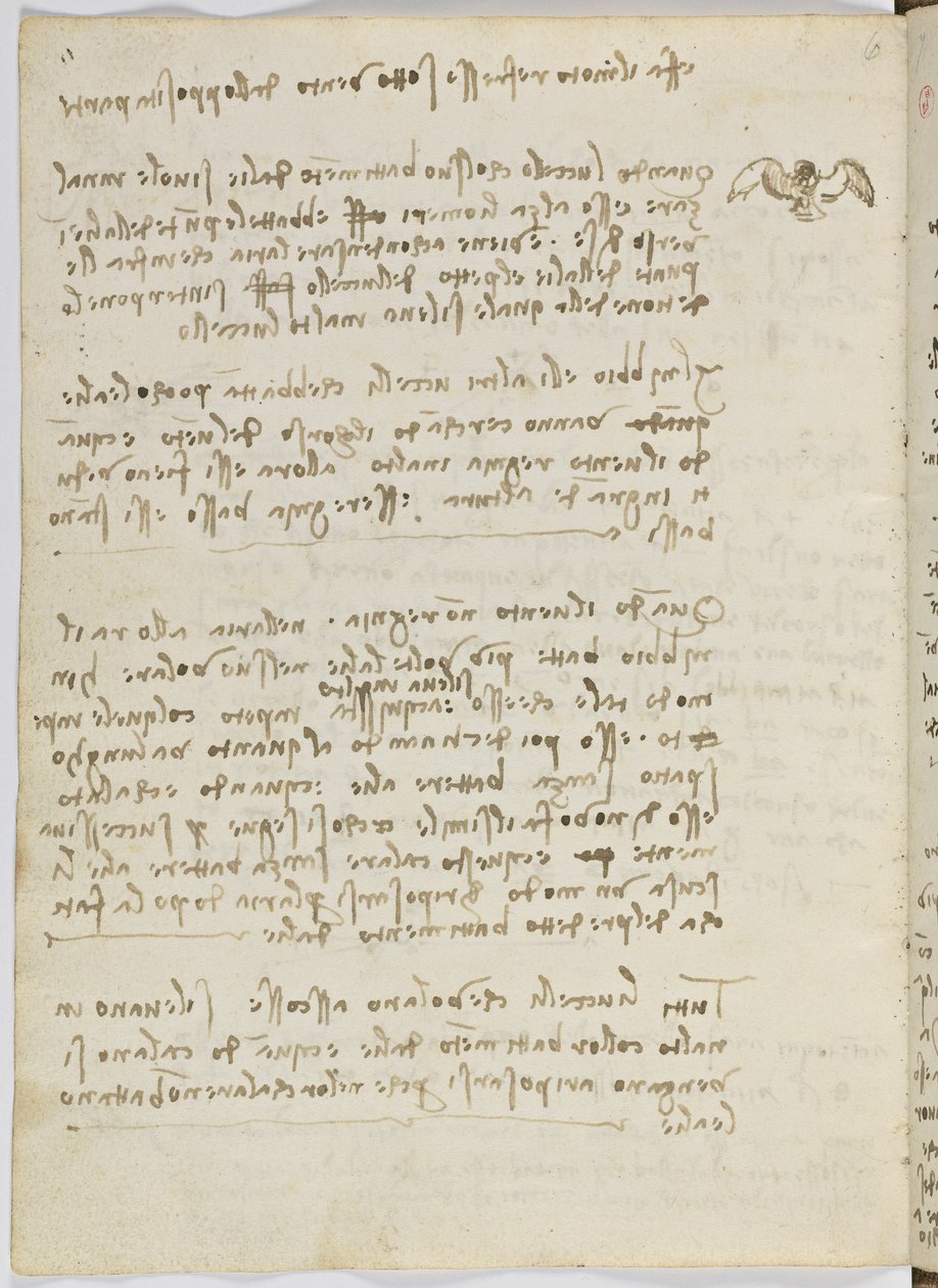 Birds Flight Code, c. 1505-06, papír kézirat, cc. 18, 5. lap verso alkotó: Leonardo da Vinci