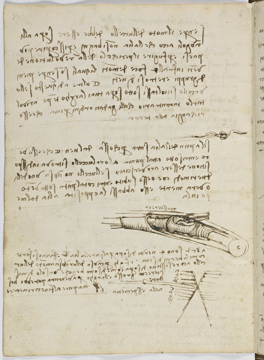 Birds Flight Code, c. 1505-06, papír kézirat, cc. 18, lap 6 verso alkotó: Leonardo da Vinci