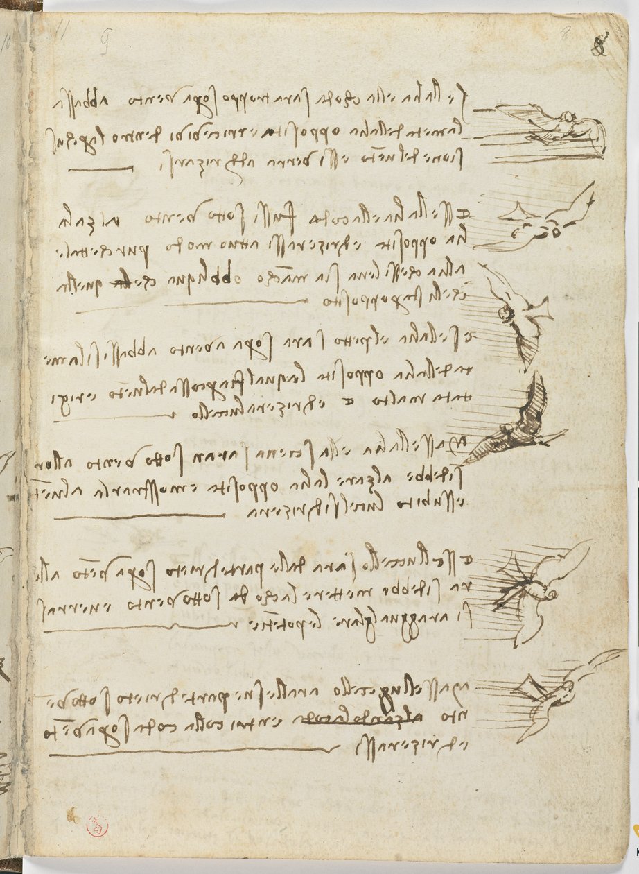 Birds Flight Code, c. 1505-06, papír kézirat, cc. 18, lap 8 recto alkotó: Leonardo da Vinci