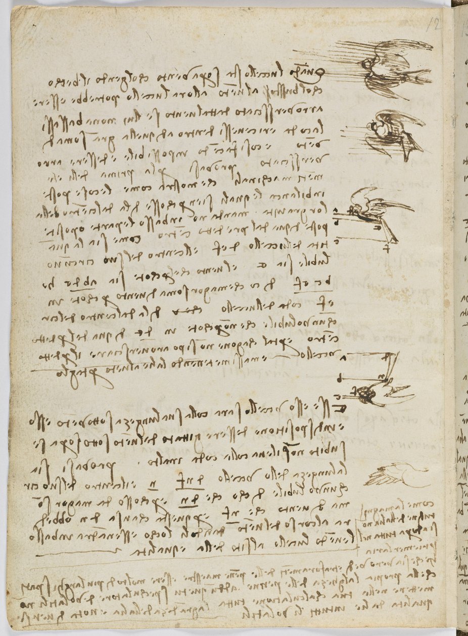 Birds Flight Code, c. 1505-06, papír kézirat, cc. 18, lap 8 verso alkotó: Leonardo da Vinci
