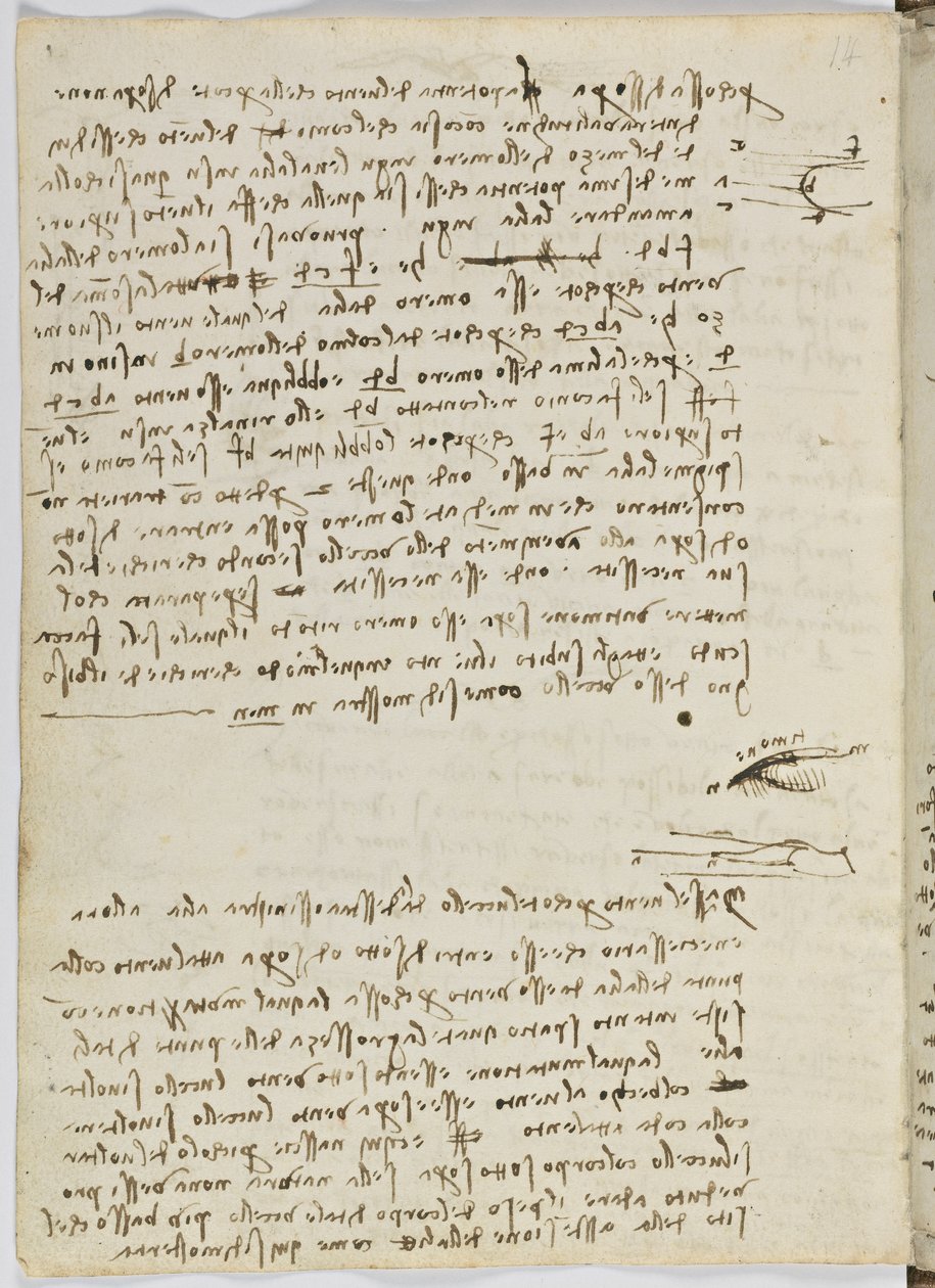 Birds Flight Code, c. 1505-06, papír kézirat, cc. 18, lap 9 verso alkotó: Leonardo da Vinci