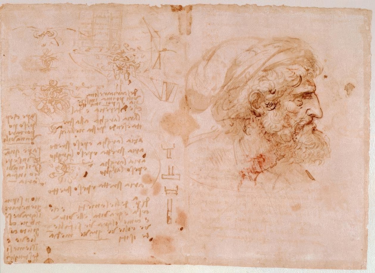 Levéldísz tanulmányok / egy idős férfi profilportréja ... alkotó: Leonardo da Vinci