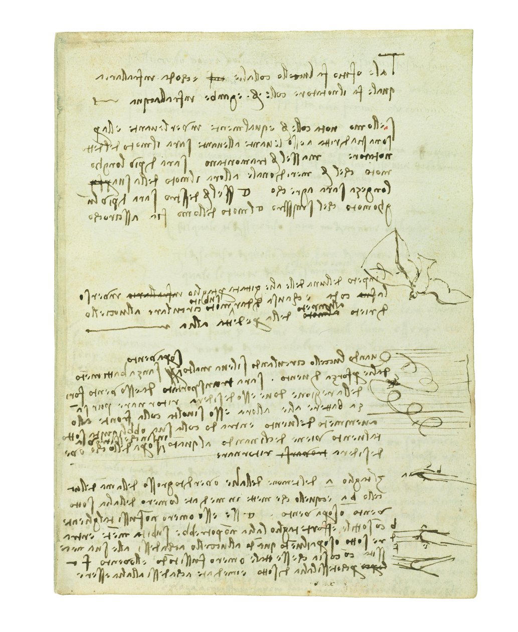 Kódex a madarak repüléséről, Folio 10 recto alkotó: Leonardo da Vinci