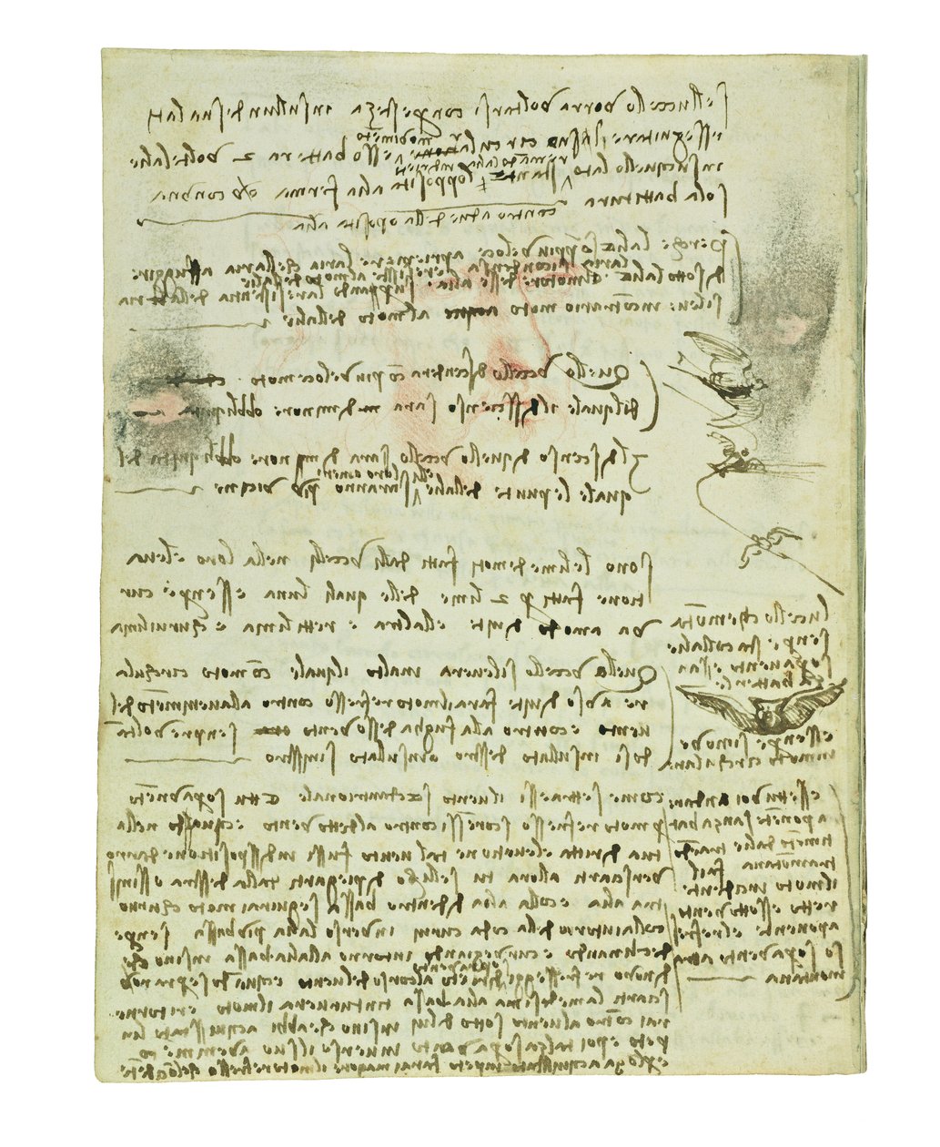 Codex a madarak repüléséről, Folio 10 verso alkotó: Leonardo da Vinci