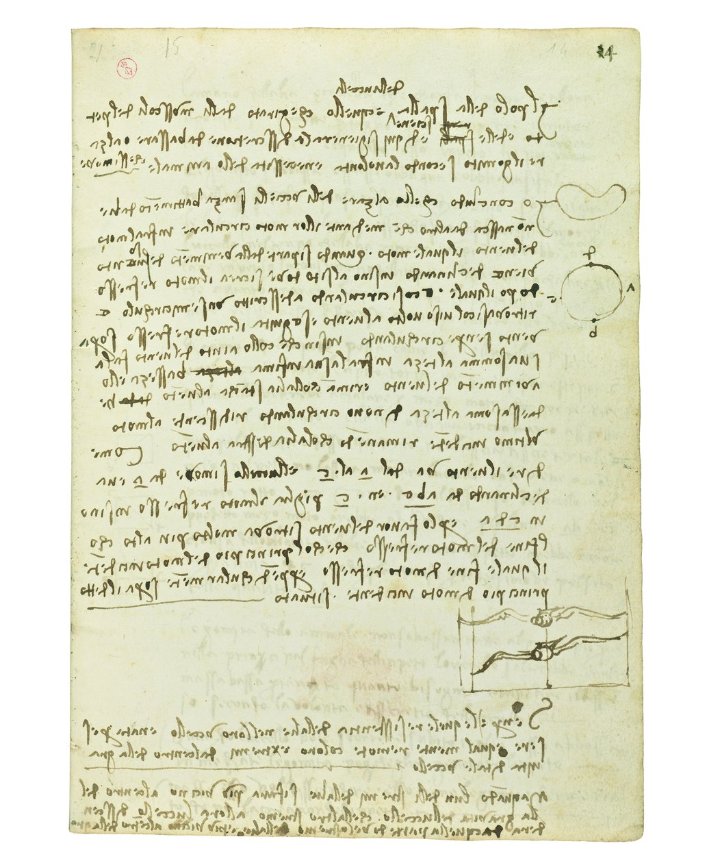 Kódex a madarak repüléséről, Folio 14 recto alkotó: Leonardo da Vinci