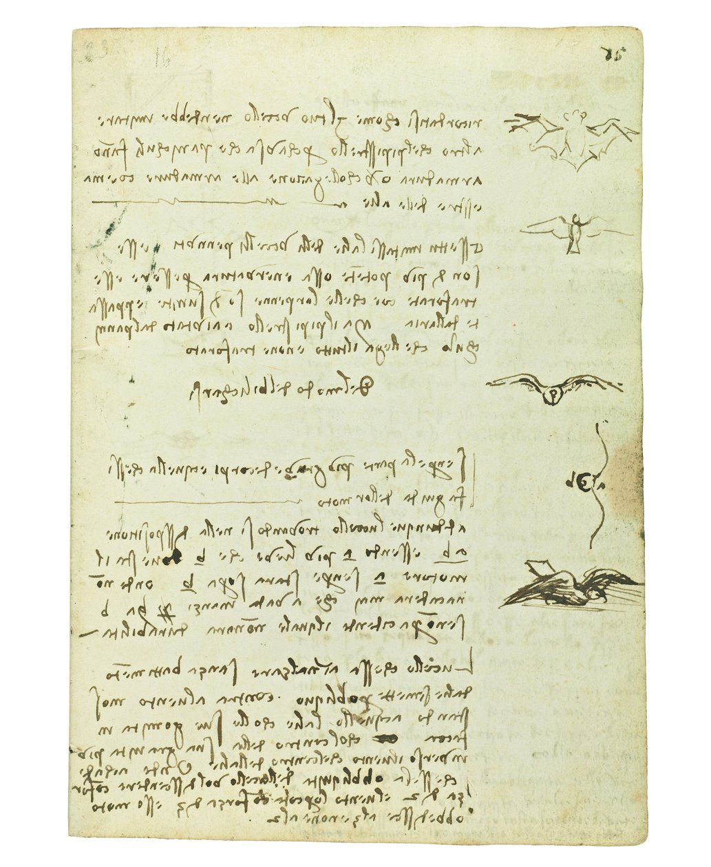 Kódex a madarak repüléséről, Folio 15 recto alkotó: Leonardo da Vinci