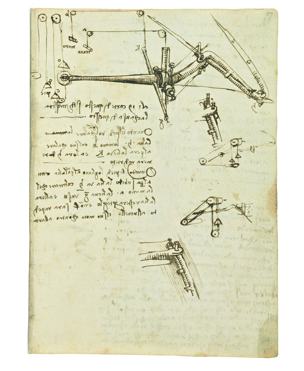 Kódex a madarak repüléséről, Folio 17 recto alkotó: Leonardo da Vinci