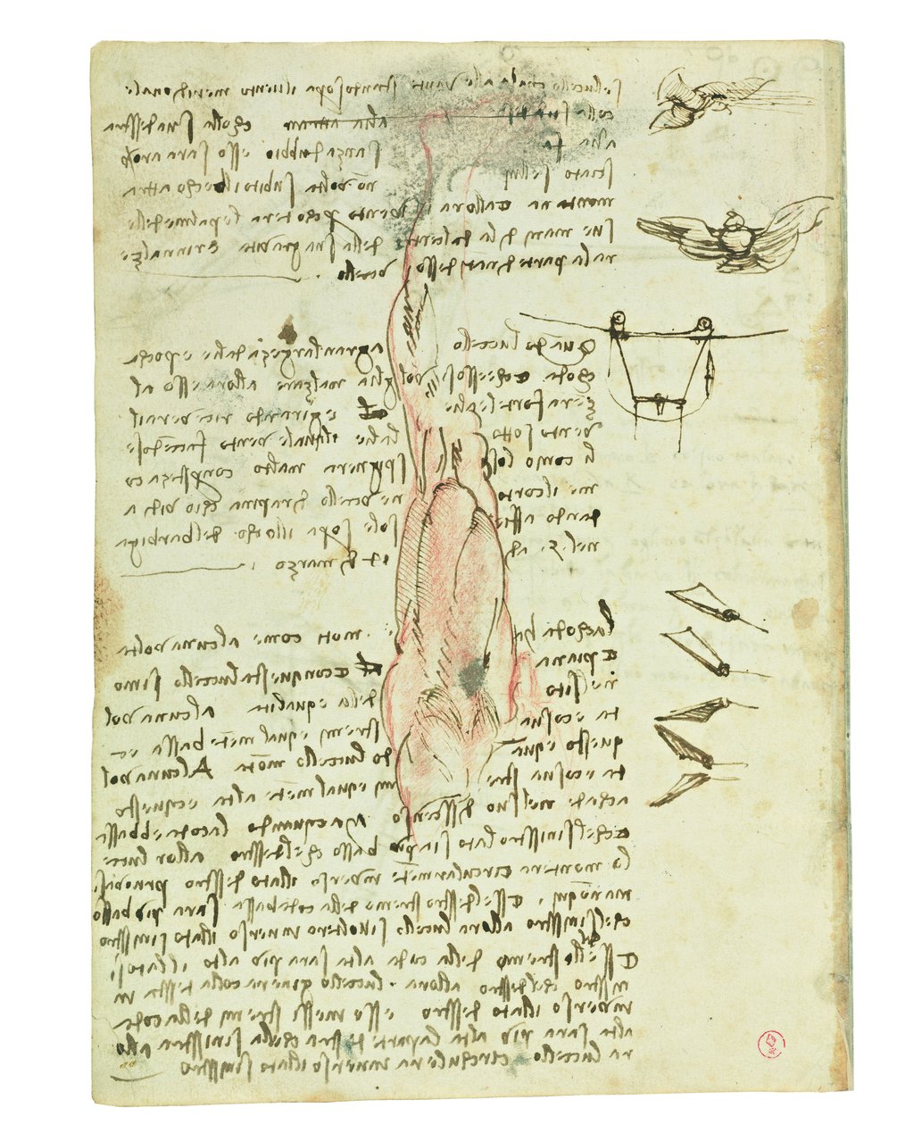 Codex a madarak repüléséről, Folio 17 verso alkotó: Leonardo da Vinci