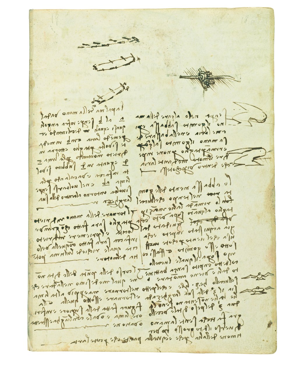 Kódex a madarak repüléséről, Folio 18 recto alkotó: Leonardo da Vinci
