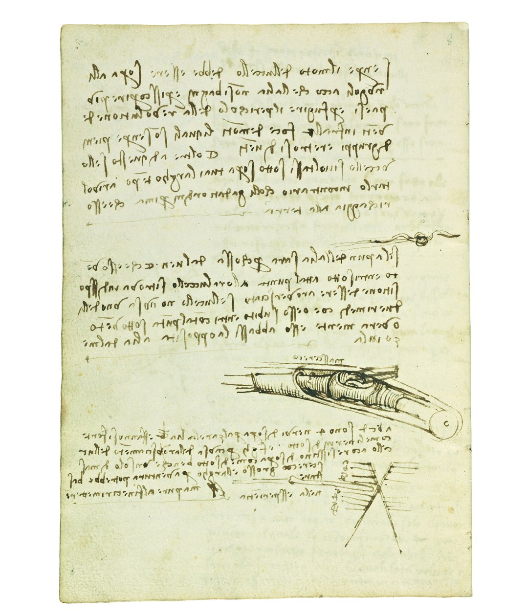 Codex a madarak repüléséről, Folio 6 verso alkotó: Leonardo da Vinci