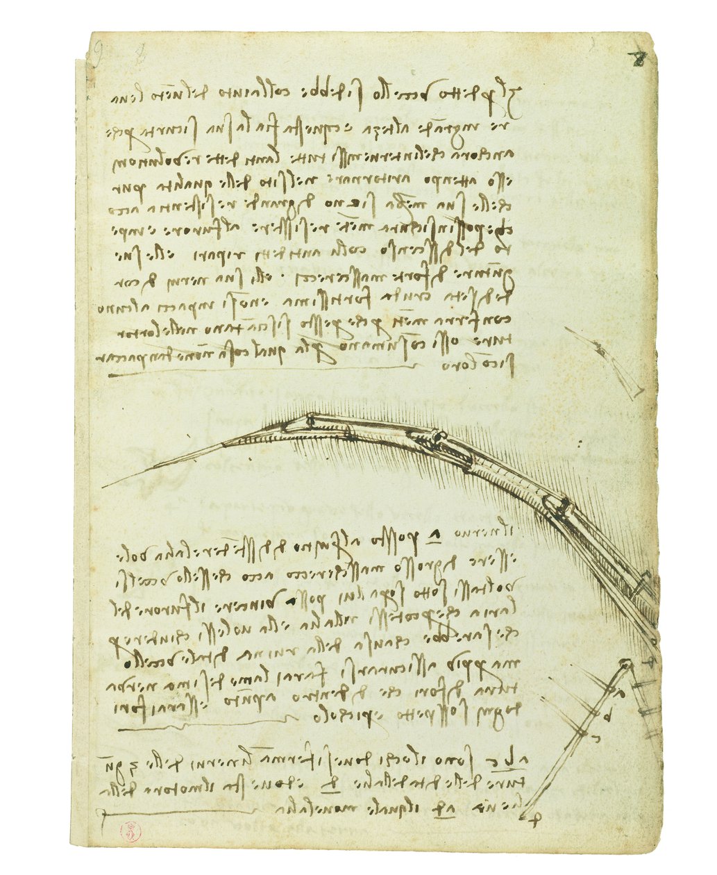 Kódex a madarak repüléséről, Folio 7 recto alkotó: Leonardo da Vinci