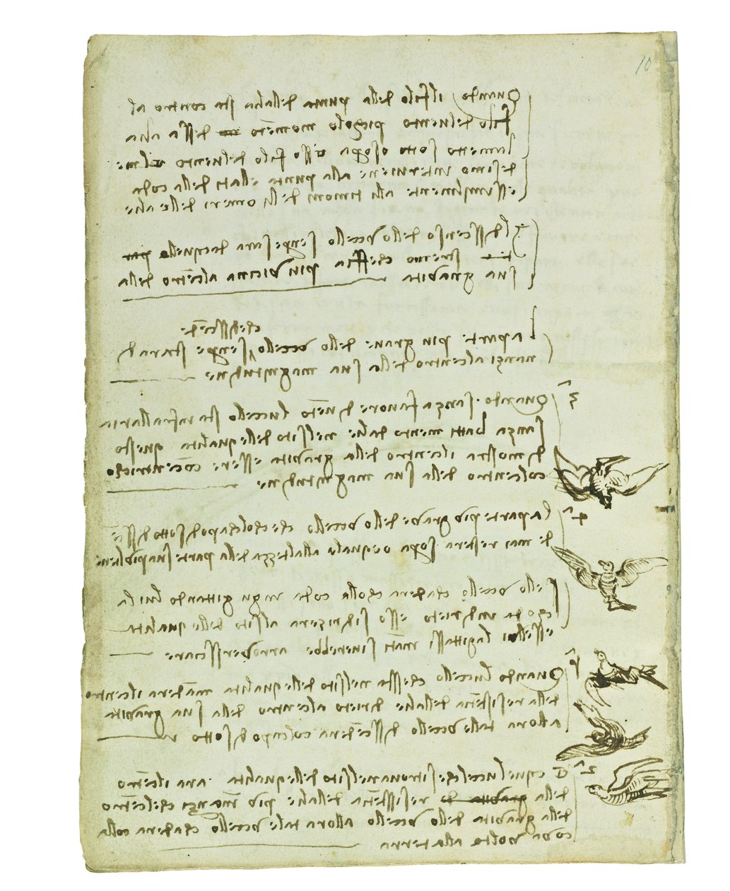 Codex a madarak repüléséről, Folio 7 verso alkotó: Leonardo da Vinci