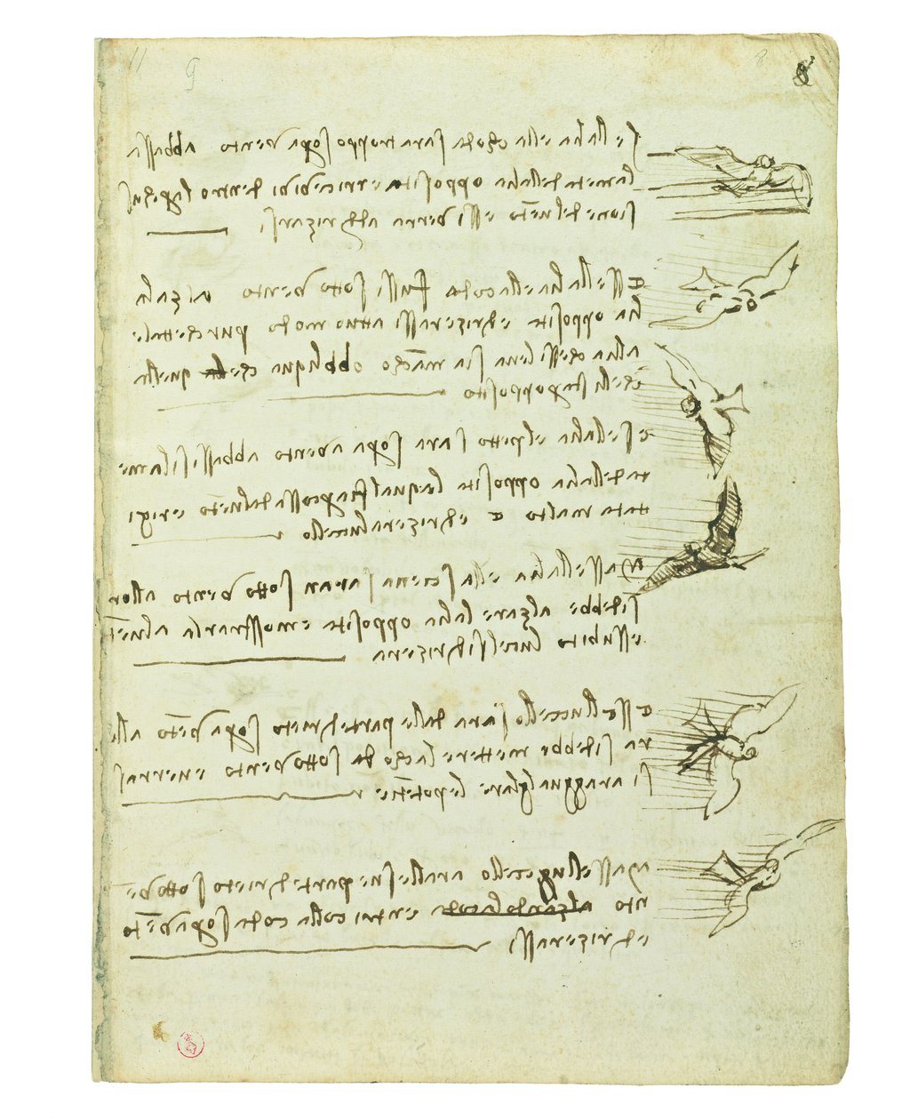 Kódex a madarak repüléséről, Folio 8 recto alkotó: Leonardo da Vinci