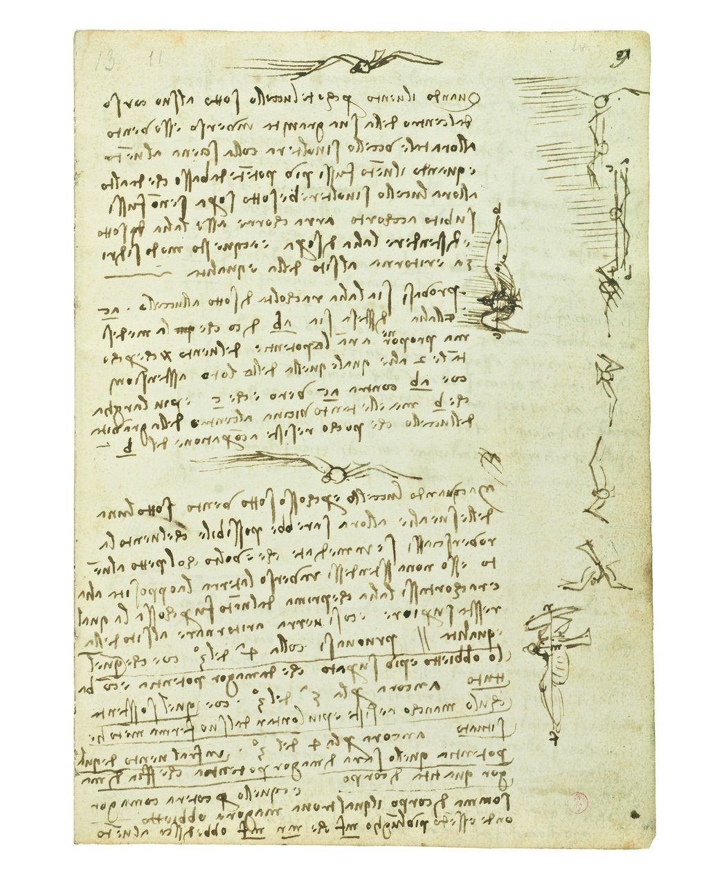 Kódex a madarak repüléséről, Folio 9 recto alkotó: Leonardo da Vinci