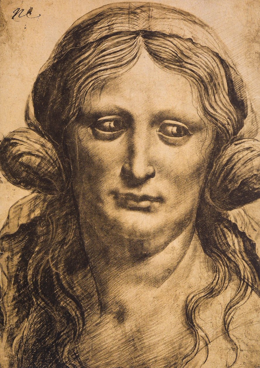 Női portré; Leonardo da Vinci rajza. Louvre, Párizs alkotó: Leonardo da Vinci