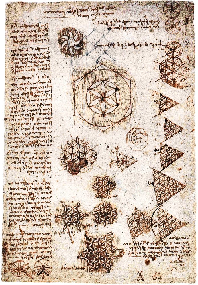 Az élet virága alkotó: Leonardo da Vinci