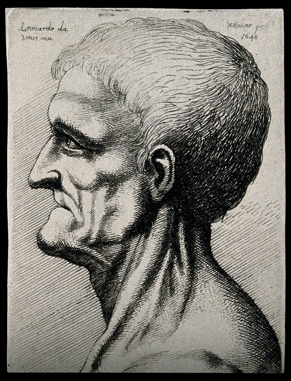 Egy idős férfi feje és nyaka, a bal oldalon látható alkotó: Leonardo da Vinci