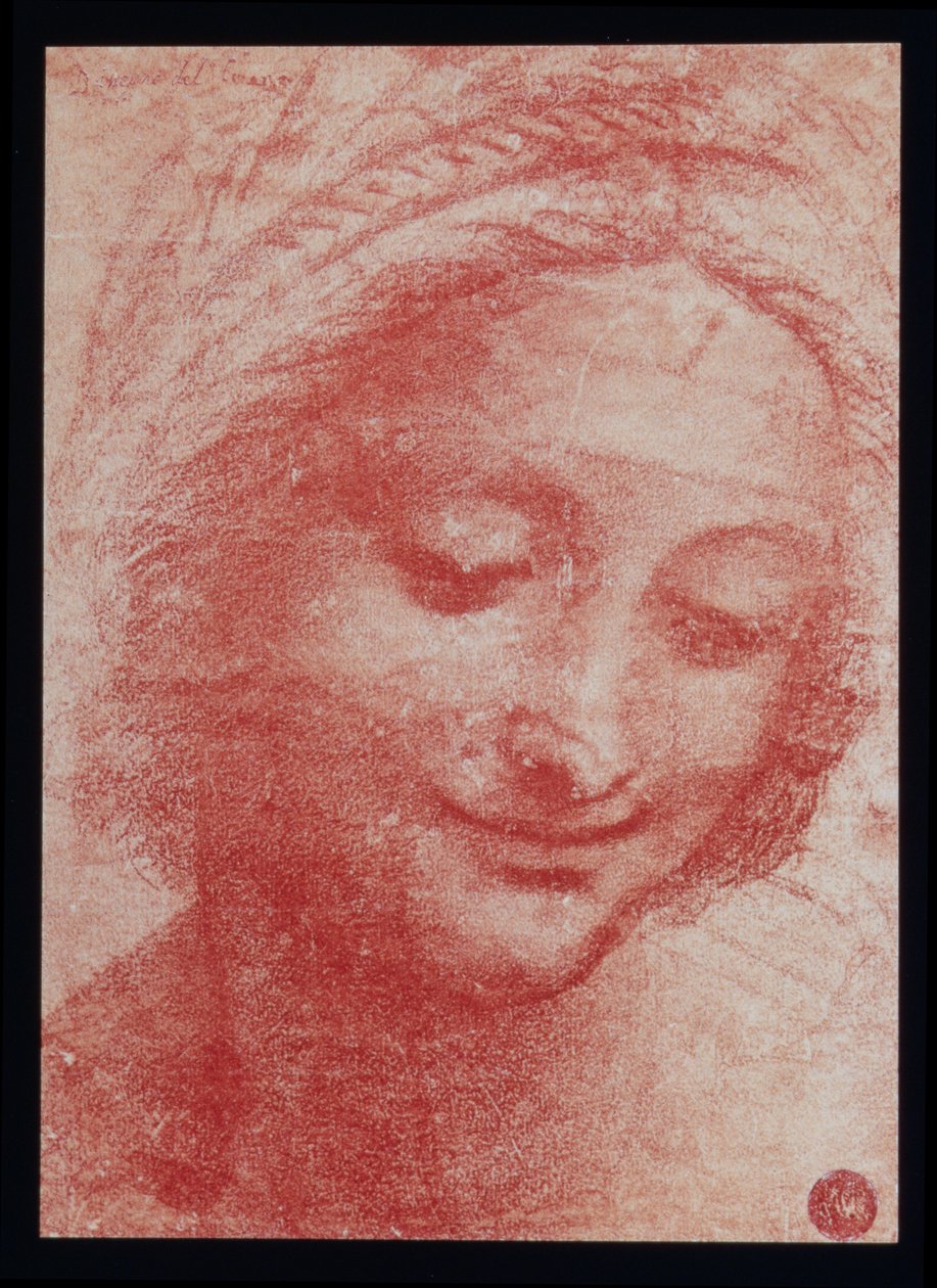 Egy nő feje (szén a papíron) alkotó: Leonardo da Vinci