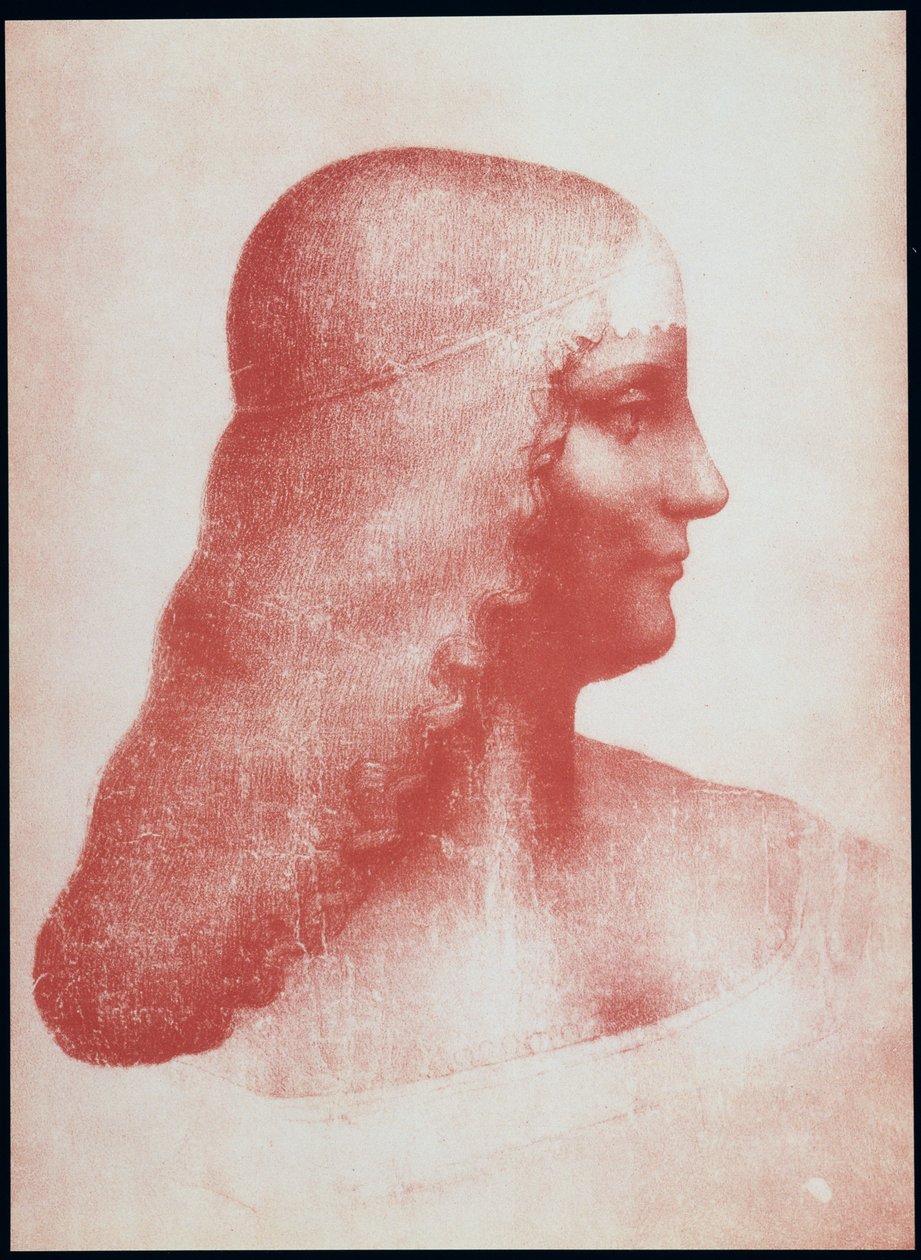 Profilos nő feje (piros kréta papíron) alkotó: Leonardo da Vinci