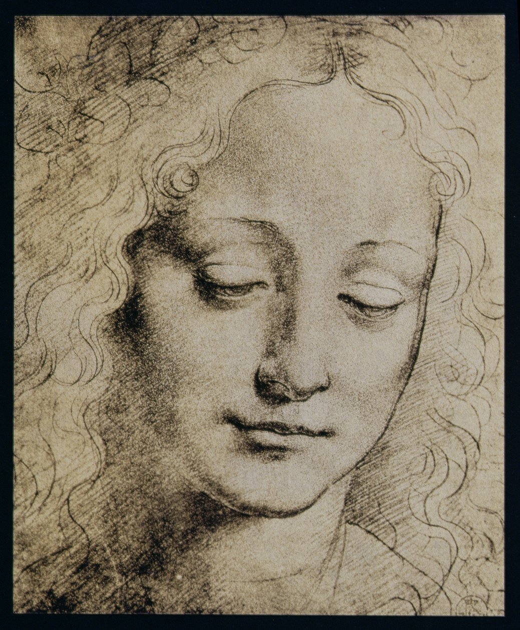 Egy fiatal lány feje alkotó: Leonardo da Vinci