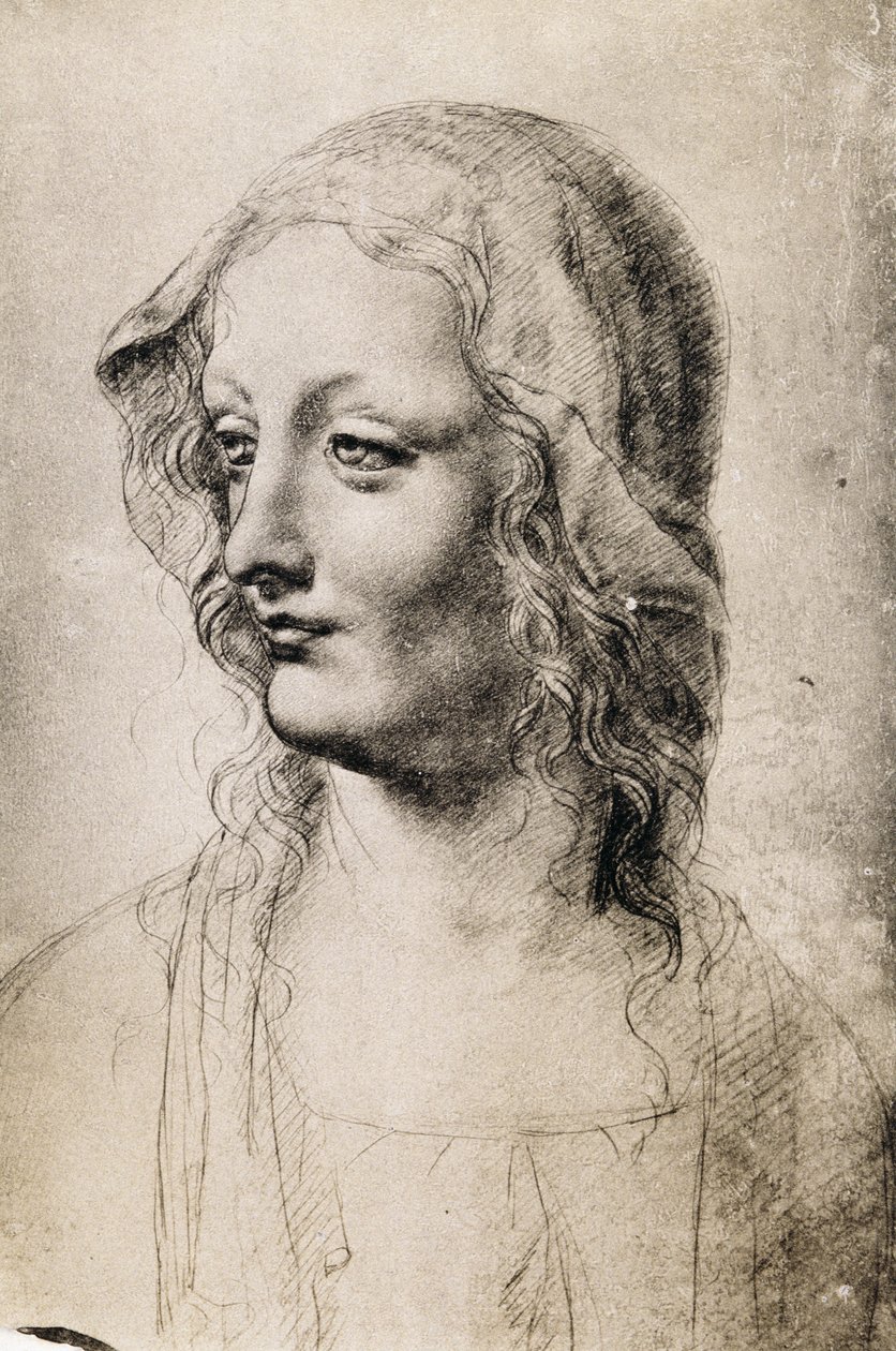 Egy fiatal nő feje (faszén papíron) alkotó: Leonardo da Vinci