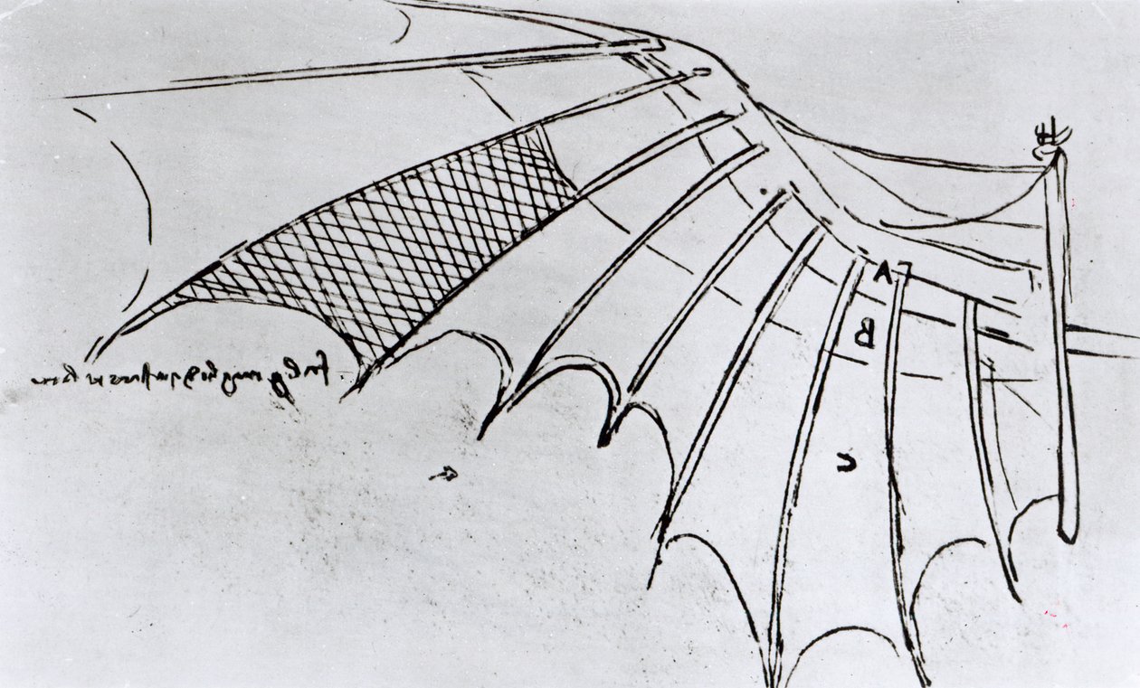 M S B 2173 fol. 74r Tanulmányok a szárnytagolásról, 1487-90 alkotó: Leonardo da Vinci