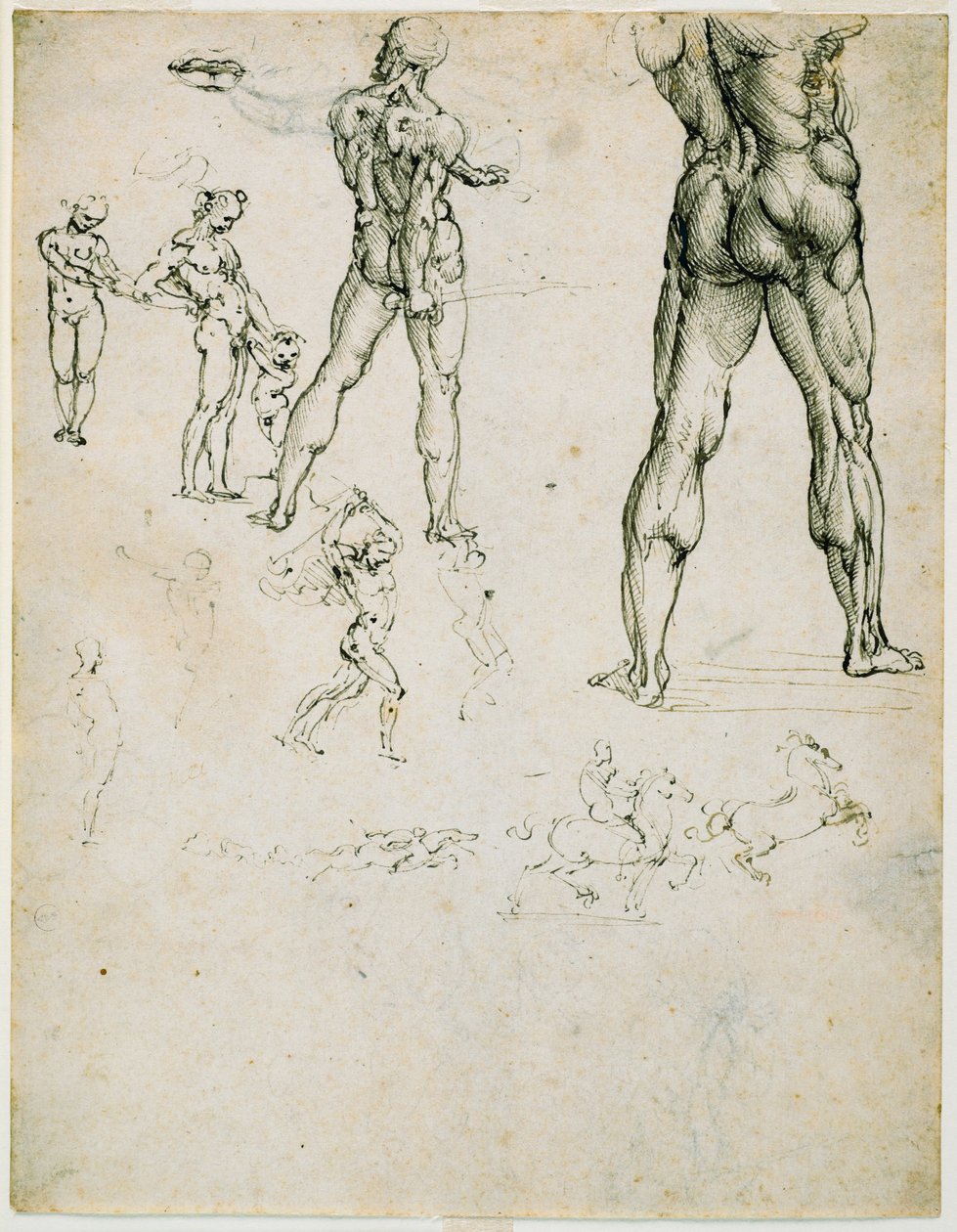 Nudi, az "anghiari csatához" és más figuratanulmányokhoz, 1505 körül (toll és barna tinta, szénnyomok papíron) alkotó: Leonardo da Vinci