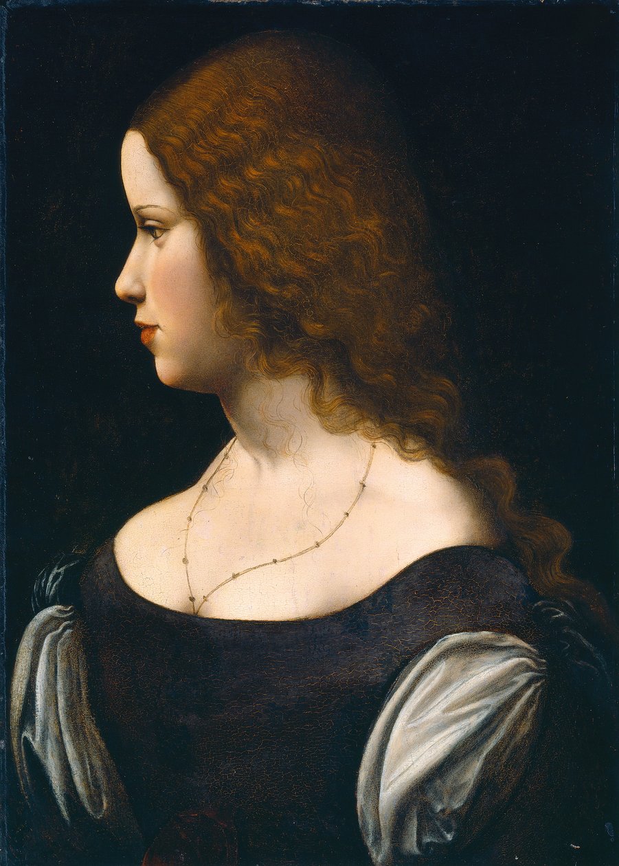 Egy fiatal hölgy portréja alkotó: Leonardo da Vinci