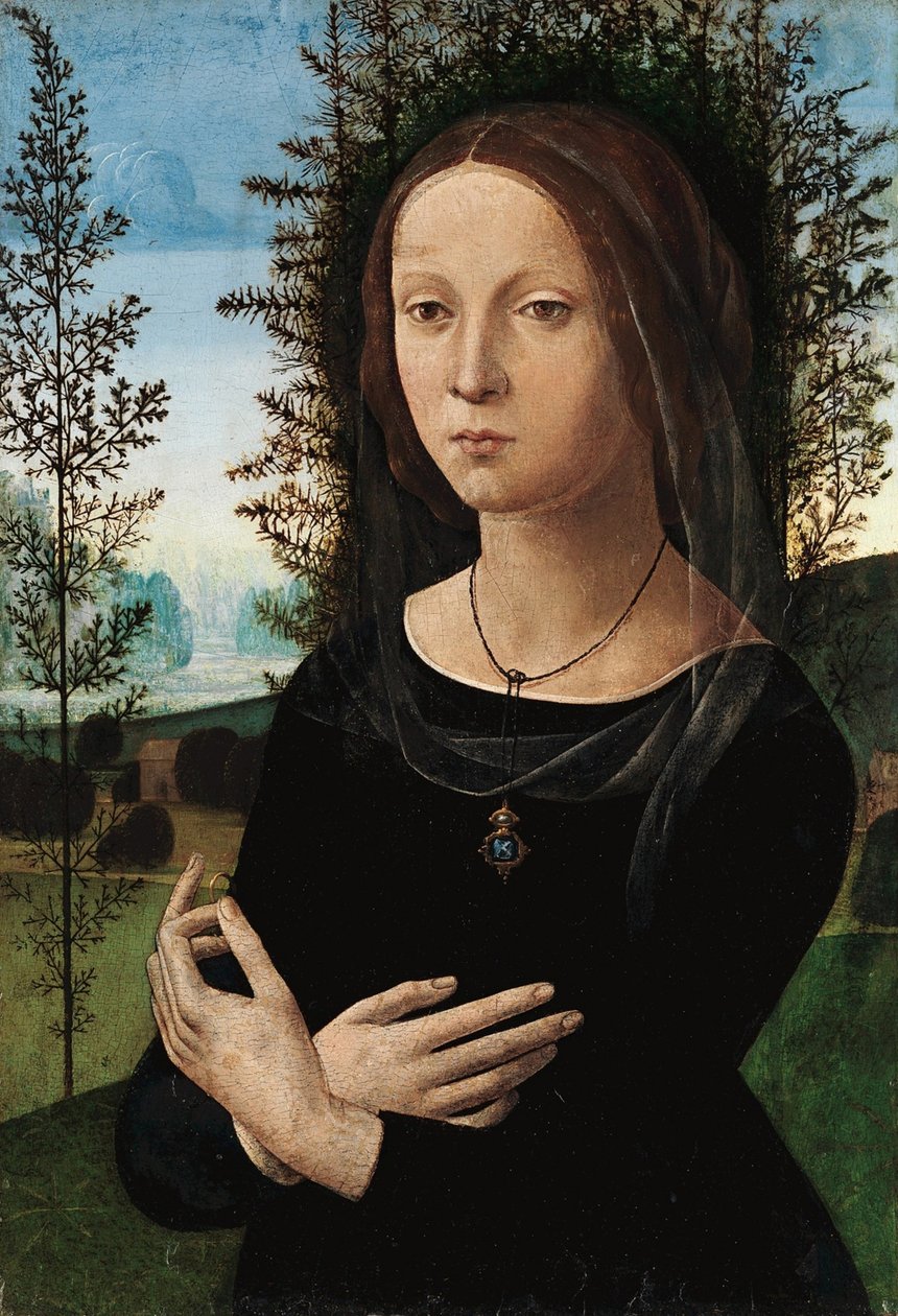 Egy fiatal nő portréja alkotó: Leonardo da Vinci